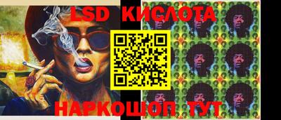 спайс Аргун