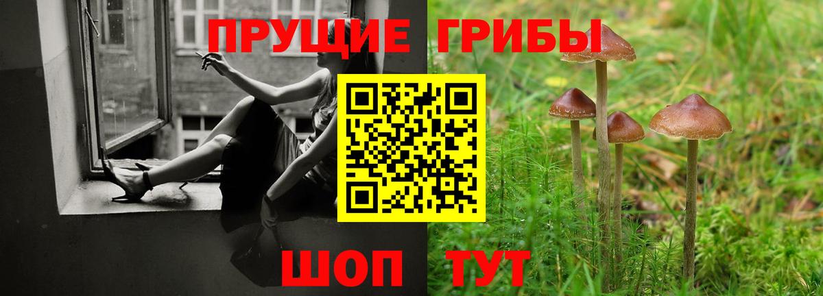 Галлюциногенные грибы ЛСД  Вход с VPN  Ачхой-Мартан  Галлюциногенные грибы мицелий 